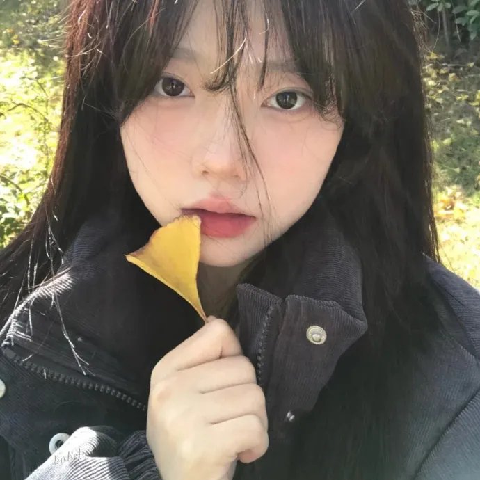 模范大哥哥