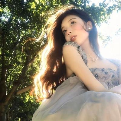 与鲨共游